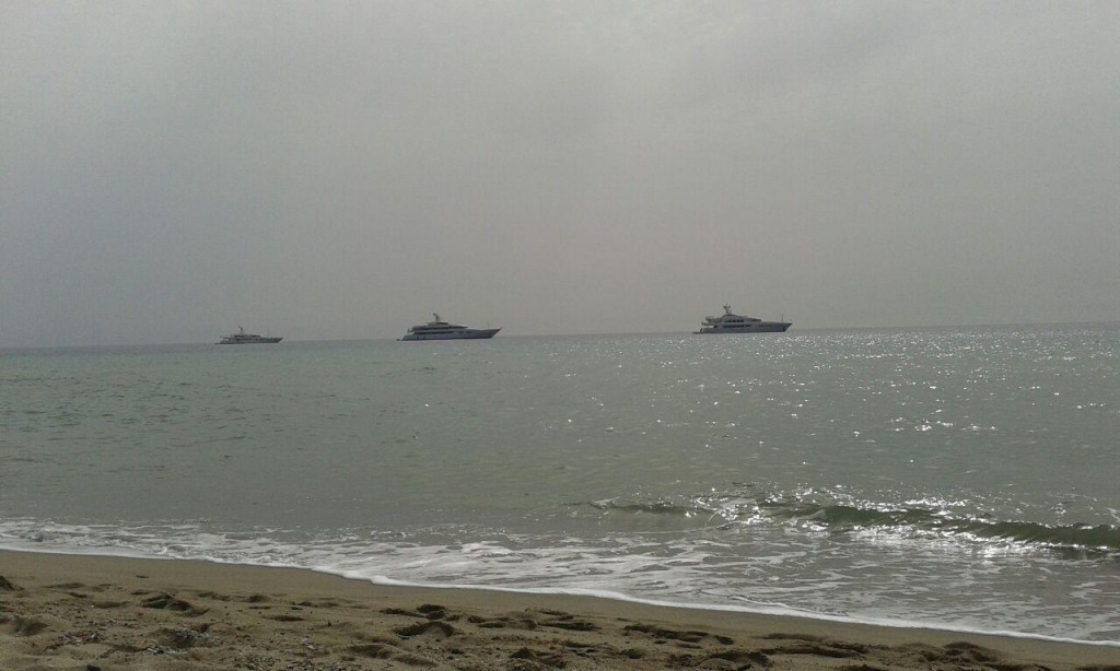 I tre panfili avvistati ieri a pochi metri dalla spiaggia di Squillace